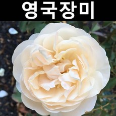 //상품명