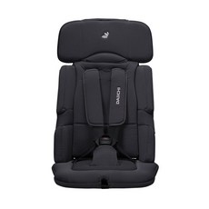 다이치이지캐리