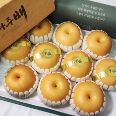 세상모든농부 프리미엄 선물용 과일 선물세트 나주배 신고배, 고급형 배선물세트 8kg 8-10과