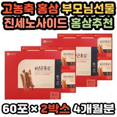 정관장홍삼활력플러스-추천-상품