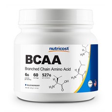 뉴트리코스트 BCAA 4가지맛 아미노산 파우더 소용량 대용량, BCAA 60회분 / 블루라즈베리, 1개