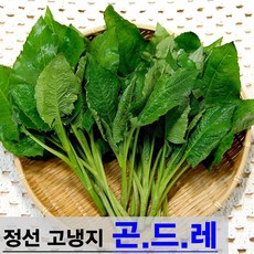 햇살농원 정선 고냉지 생 곤드레나물 당일수확 산지직송