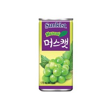 캔바템플릿
