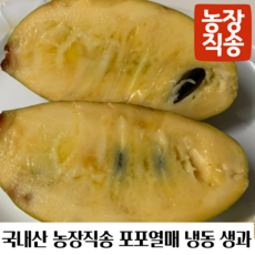 포포나무열매