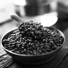 강원도내린천통보리차