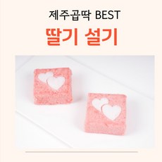 제주곱딱딸기설기 (20개입) 딸기설기 설기 과일설기, 1개, 60g