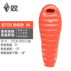 카린시아디펜스6