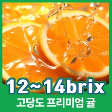  고당도 제주 감귤 (L-2L) 5KG 1개  상품 이미지