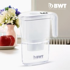 bwt정수기