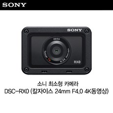 sonyrx1