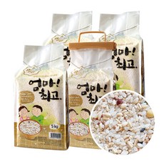 엄마최고 20곡담은쌀 20kg (5kg진공4개), 4개, 5kg