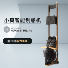 샤오미 로잉머신 아모르 스마트 카누 Pro Pro MAX 번업머신 홈트, AC
