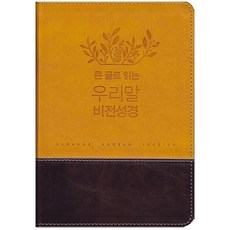 우리말 비전성경 (중 단본 색인 무지퍼 두란노) 번역 성경책, 우리말비전성경-호박색