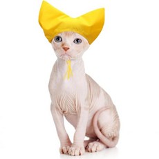 반려동물 샤워 캡 - 스핑크스 재사용 가능한 고양이 귀 보호 목욕 캡 조절식 스트랩 이어 커버 포함 집 작은 개 강아지 애완동물 그루밍 액세서리노란색, 1개