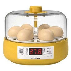 바람하늘지기 병아리부화기 부화용 병아리 조류, 1개, 4 완전 자동(과학 및 교육 버전)