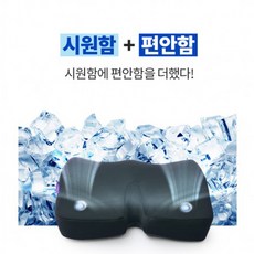 더쎈 메모리폼 쿨링 쿠션 방석, WZ류_단일옵션, 1개