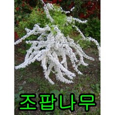 ba7d3d654957b97cb382d2109fe3ba62de07d31af6673f892215051d51d0.jpg