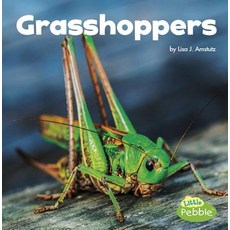 Grasshoppers Hardcover, Capstone Press