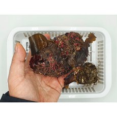 청정바다 통영에서 해녀가 조업한 자연산 돌 멍게, 1개, 4kg(32-52미)