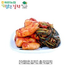 이맑은김치 [HACCP][이맑은김치]총각김치 3kg, 1