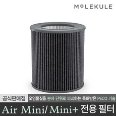 몰리큘