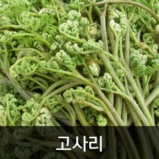 약수농장 생고사리 4kg, 1박스