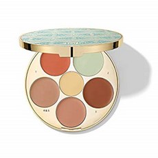 [구매대행] limited-edition wipeout color-correcting palette, 본품선택, 본상품선택