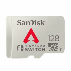 샌디스크닌텐도