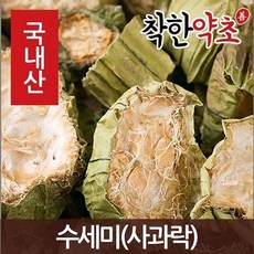 개부처손