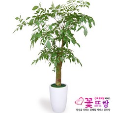 7da81cc9e87bbcf55cf9bfff025ca94c49483fd156ee017665246f79c70c.jpg