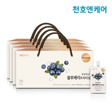 블루베리쥬스네오보감