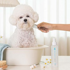식물유래 저자극 강아지 보습 미스트 스킨케어 에센스, 에센스 미스트, 1개, 160ml