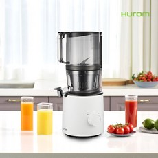 휴롬더이지착즙기