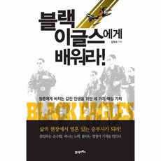 블랙이글스뱃지