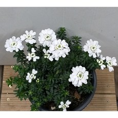 d08372772694d0796166c66915439c1faac7b40392120751ef0d97e3906e.jpg