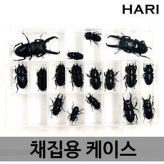0a352494d895c831bcd62f2eff7a3b5a1e09b5b88e78d61944c0f618e482.jpg