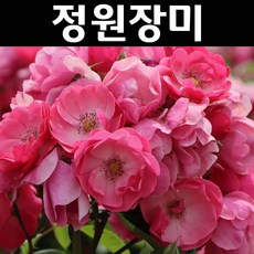 7b14548eb3bb843212a74664b554f30d82f0623e390222131a9de4f2708f.jpg