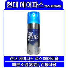 현대약품 현대 에어파스 맥스, 1개입, 1개