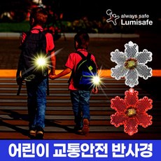 루미세이프 루미세이프 어린이 교통안전반사경 플라워(레드/화이트)/보행자사고예방/교통안전용품, 신데렐라, 1개