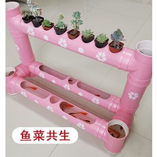 아쿠아포닉스샐러드