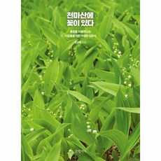 이노플리아 천마산에 꽃이 있다, One color | One Size@1