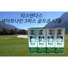 티스탠다드골프공