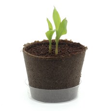 방학기르기키트