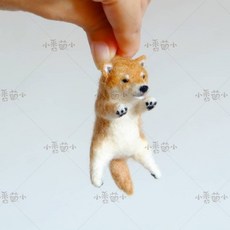 고슴도치양모