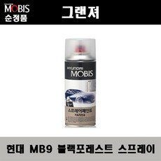포레스트스프레이