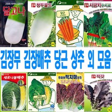 얌이밀양파