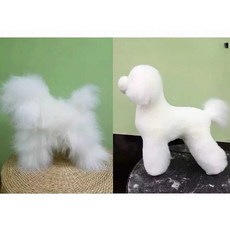  펫위그 도그위그 연습용 애견 마네킹 그루밍, 테디 헤드 몰드+머리털 1개 (색상비고) 