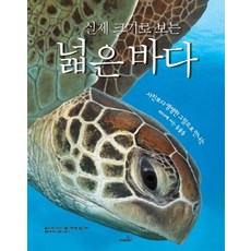 실제 크기로 보는 넓은 바다 사진보다 생생한 그림으로 만나는 바다에 사는 동물들, 상품명