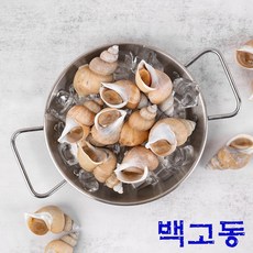 먹방사피엔스 국내산 골뱅이 백고동 자숙급냉(중대믹스), 3개, 1kg