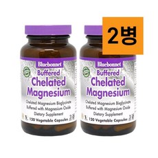 블루보넷 킬레이트 마그네슘 120정, 2개/120정